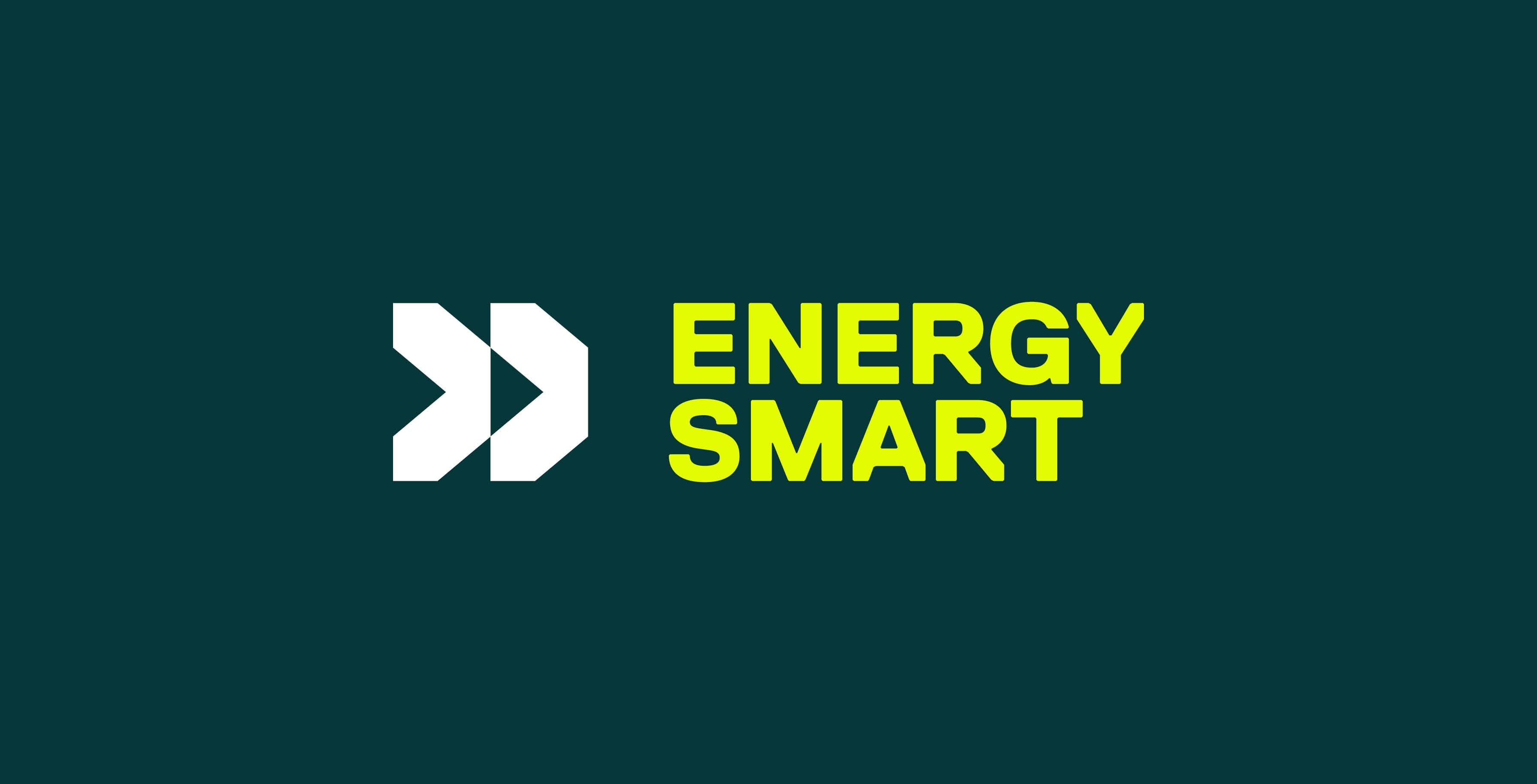 Energy Smart Case Study 2