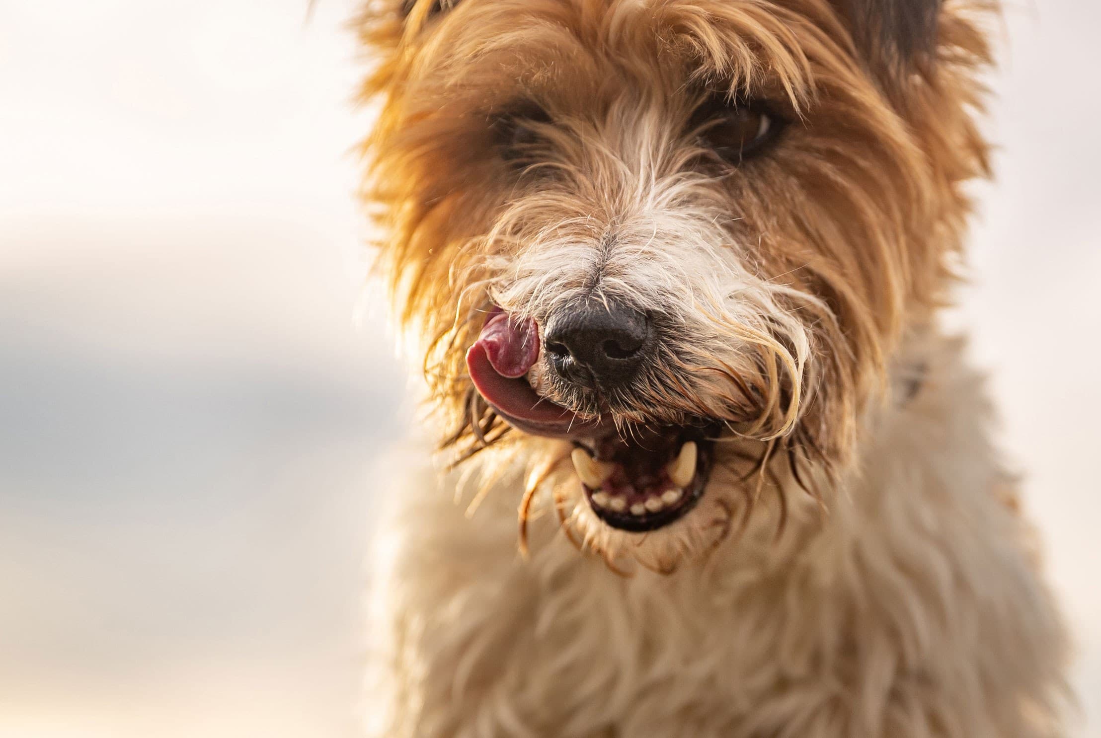 11 Great Nature casestudy 2019 selects 2216x1486 3