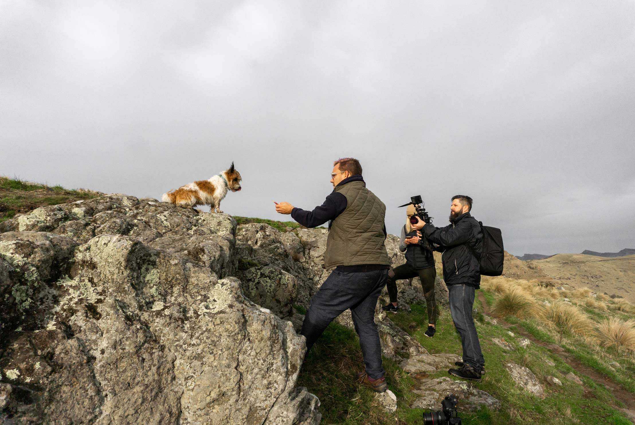 12 Great Nature casestudy 2019 selects 2216x1486 4